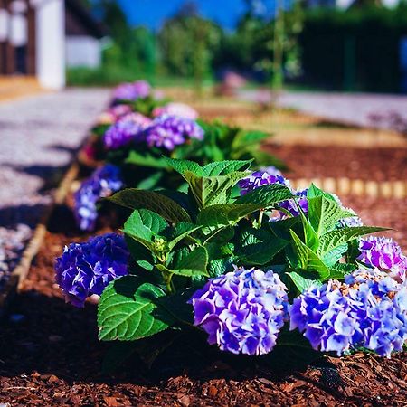 Apartamenty Wiatr I Woda Mikołajki Luaran gambar