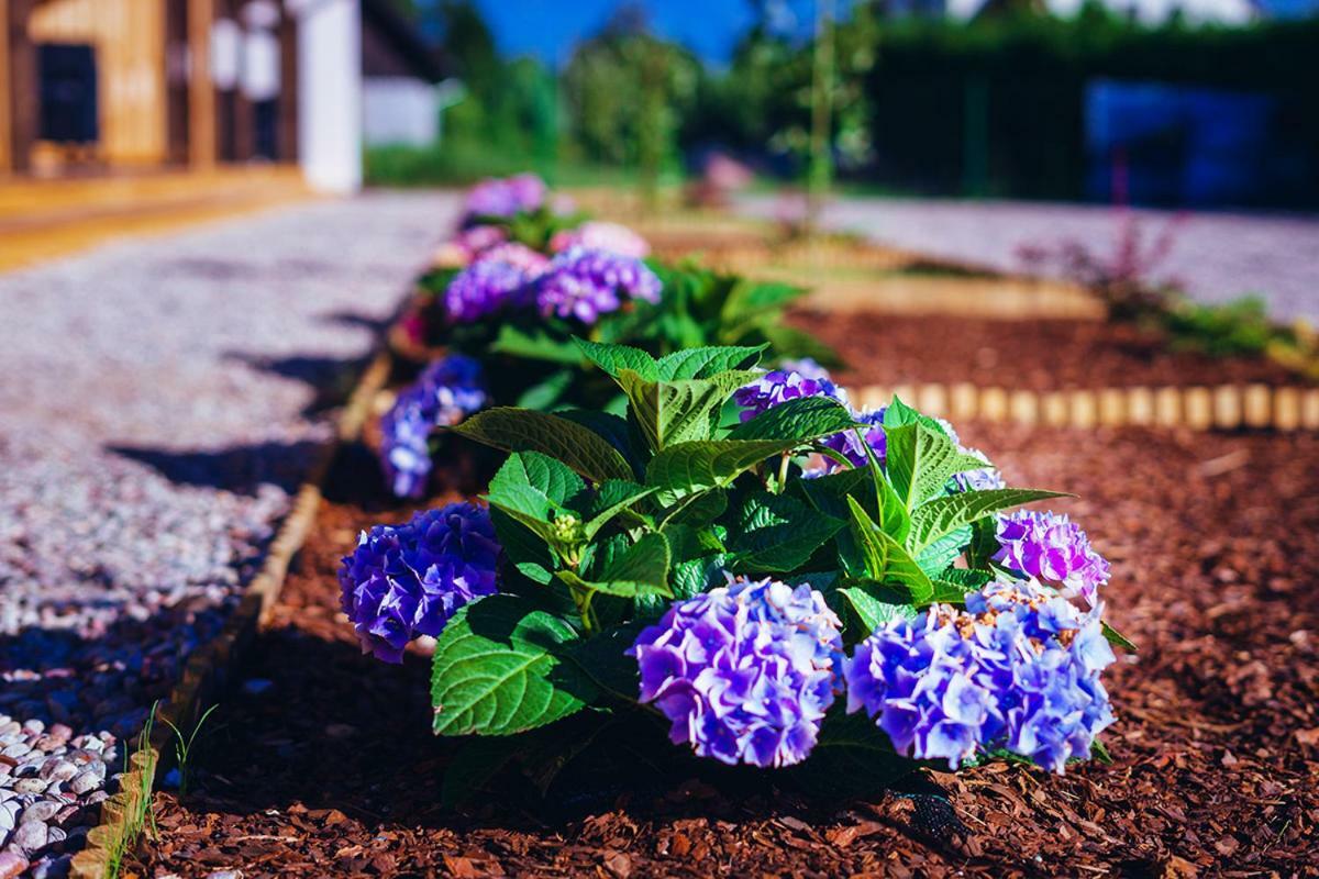 Apartamenty Wiatr I Woda Mikołajki Luaran gambar